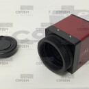 GUPPY F080B ASG