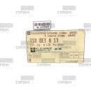 TSXDET813
